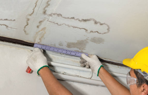 Reliable Structural Drying contractor in Boston, MA by Water Damage Irwin